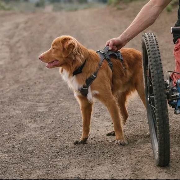 Ruffwear flagline Gray Dog Harness Granite grey size XL - Picture 11 of 11